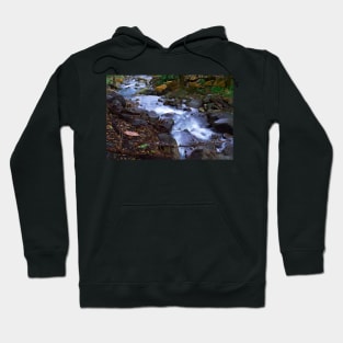 Forest stream Hoodie